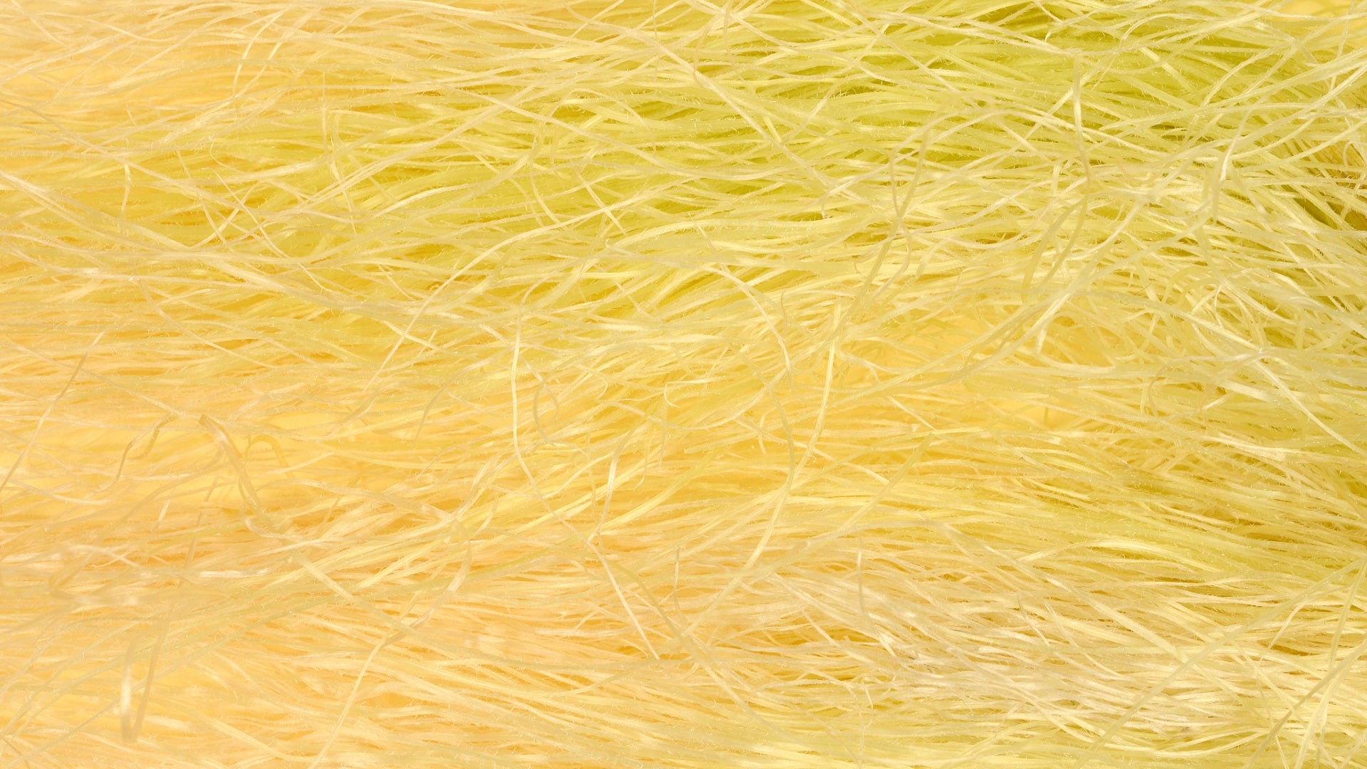 Die gelbleuchtende Maisfaser ganz aus der Nähe fotografiert.