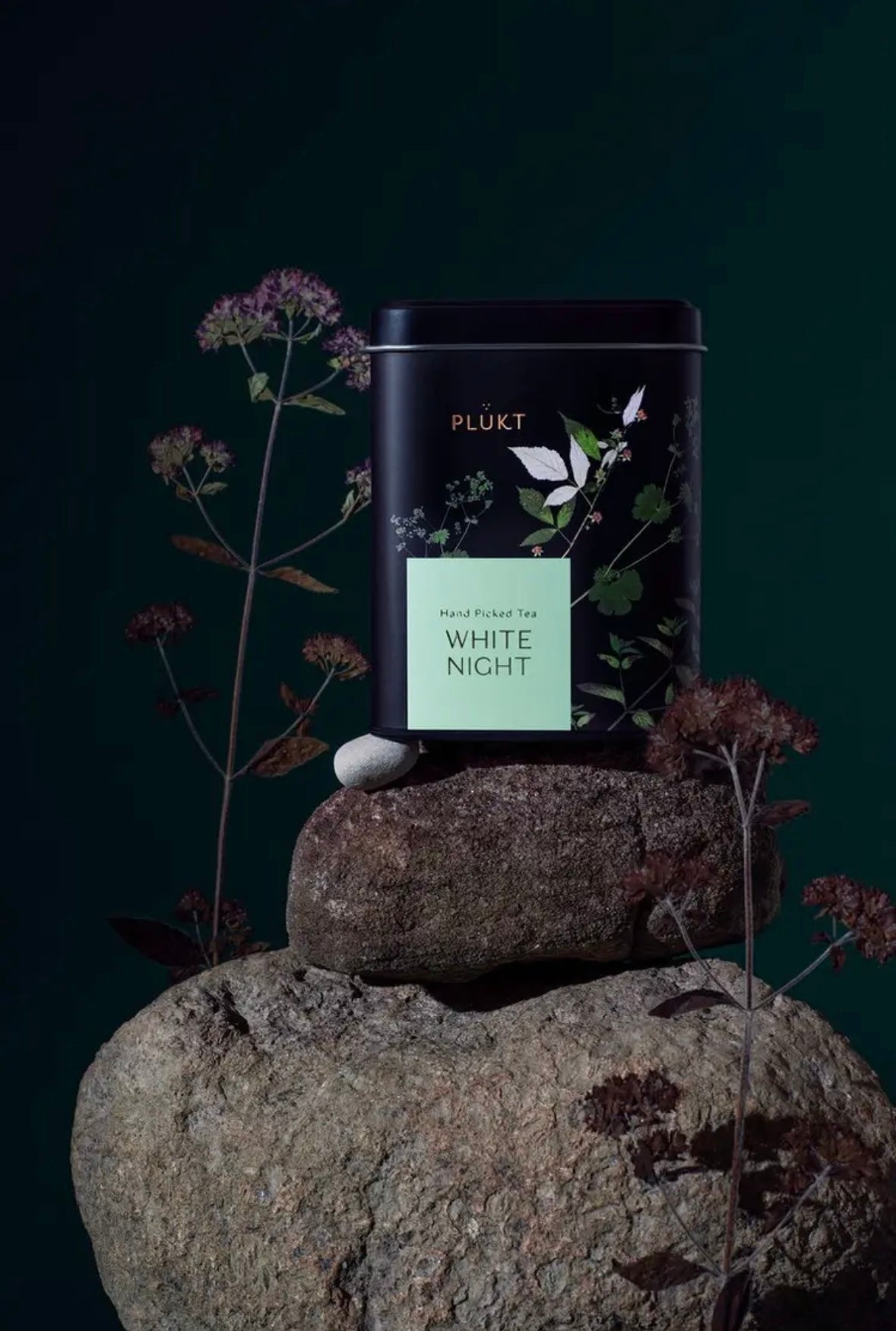 Abendtee WHITE NIGHT (Bio)